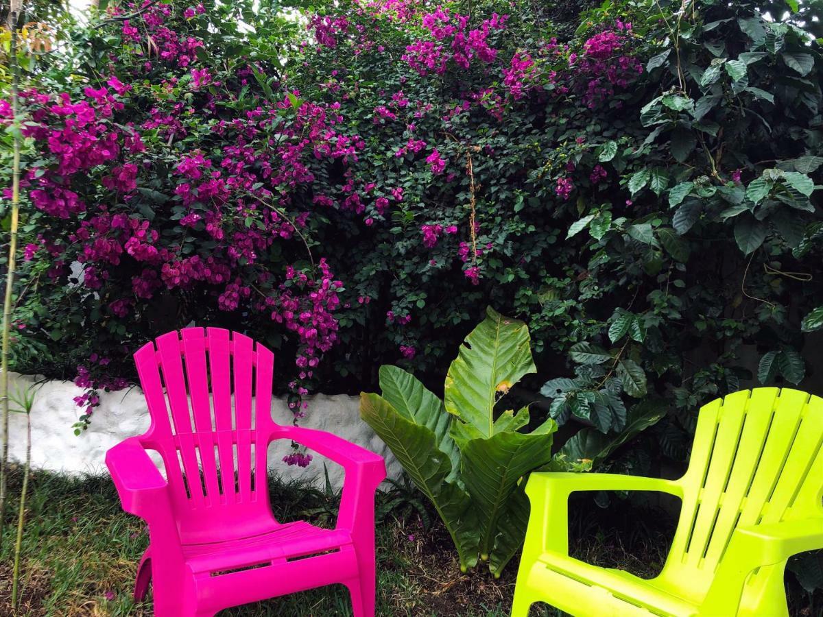 Monte Fresco Hostel Boutique ปุนตาเรนาส ภายนอก รูปภาพ
